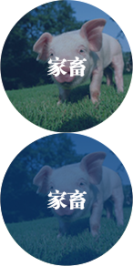 到廠試機(jī)