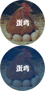 售后無(wú)憂(yōu)